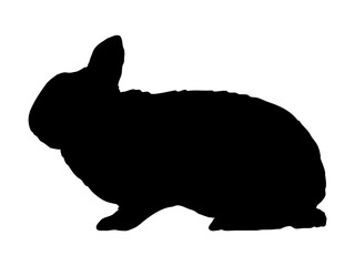 Silhouette of sitting domestic rabbit. Realistic vector animal