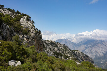 Obraz premium Sunlit rocky cliff with pine trees and distant peaks under clear sky. Sharp natural contrast and sense of elevation.