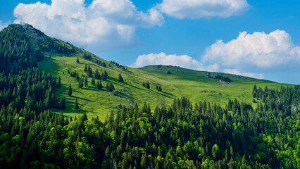 Lush green hills under a bright blue sky with fluffy clouds in a serene mountain landscape