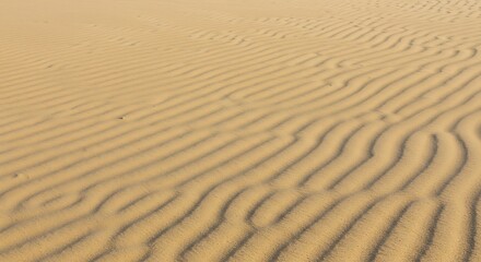 Fototapeta premium Stunning Texture of Rippled Sand Dunes in Desert Landscape