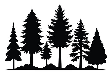 Obraz premium Silhouettes of evergreen trees in a forest scene