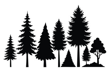 Obraz premium Silhouettes of various evergreen and deciduous trees in a forest