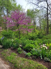 Jardin Botanique Royal Canada 