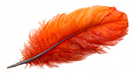 Vivid orange feather artwork against a stylized blue and white dotted isolated on white transparent background PNG cutout