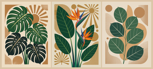 Set of retro botanical posters in mid-century modern style featuring bird of paradise flowers, monstera, and eucalyptus leaves. Bold flat vector art perfect for vintage-inspired decor