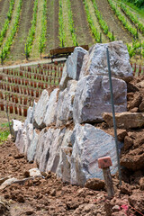 Chantier en cours : les premières pierres d'un mur de soutien dans le vignoble en terrasse sur les...