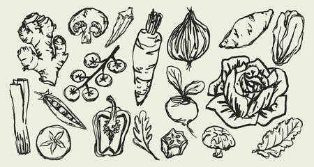 Doodle Elements of Vegetables and Fruits - Hand-Drawn Illustration