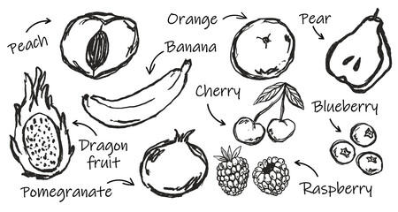 Doodle Elements of Vegetables and Fruits - Hand-Drawn Illustration