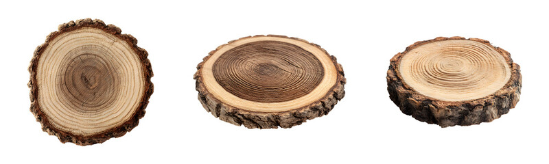 Wooden Tree Slices PNG – Natural Wood Rounds with Organic Growth Rings Isolated on Transparent Background for Rustic Decor, DIY Crafts, Design Projects, and Nature-Inspired Artwork