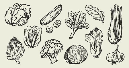 Doodle Elements of Vegetables and Fruits - Hand-Drawn Illustration