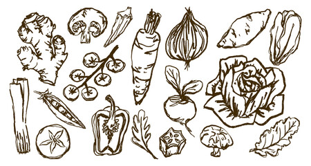 Doodle Elements of Vegetables and Fruits - Hand-Drawn Illustration