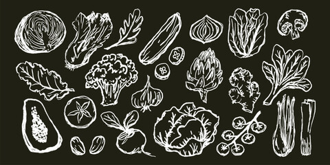 Fototapeta premium Doodle Elements of Vegetables and Fruits - Hand-Drawn Illustration