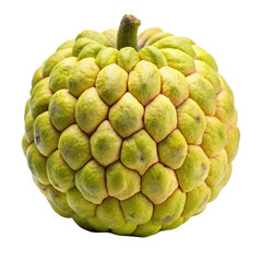Obraz premium Beautiful Custard Apple Ripe Isolated on Transparent Background