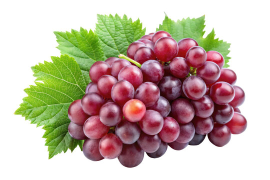 red grapes isolated on white - Powered by Adobe