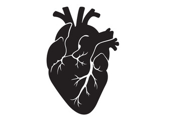human heart logo silhouette vector illustration,  human heart logo icon, heart human organs medicine medical vector silhouette, human heart vector logo silhouette on a white background