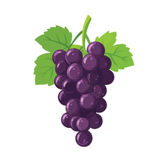 Fototapeta premium Premium Ripe Grape Bunch Fresh Nature Fruit Abundance Icon EPS Vector Illustration