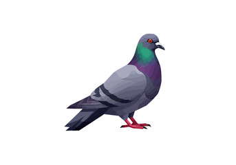 Stylized Pigeon with Gray Plumage and Iridescent Neck Feathers
