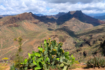 The viewpoint Degollada de las Yeguas in Gran Canaria offers a spectacular view into the dry, rugged mountain terrain with cacti and agaves