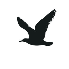 Elegant Seagull Flying Silhouette Vector Illustration for Icons in Modern Style