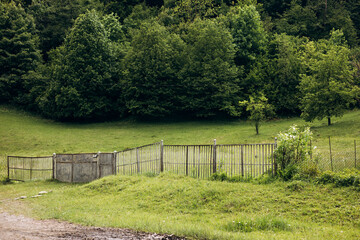 Fototapeta premium Old wooden barn stands quietly among lush green forest hills.