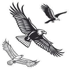 Three Eagles in Flight Black and White Vector Illustration