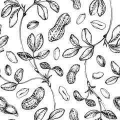 Peanut seamless vector pattern hand drawn with ink. Graphic ornament with whole and cut nuts in shell and peeled kernels. For label design