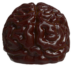 A glossy, dark-brown brain-shaped object, possibly a sculpture or rendering, exhibiting realistic cerebral convolutions