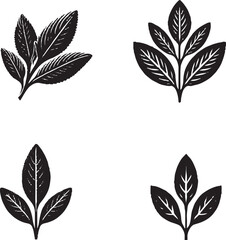 Black and White Stylized Leaf Illustrations with Unique Vein Patterns