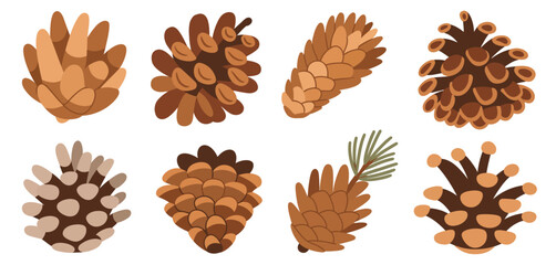 Collection of Eight Different Types of Pine Cones