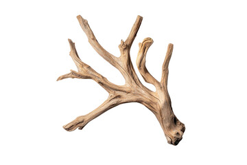 Naklejka premium Dried branch isolated transparent background perfect for crafts and decor