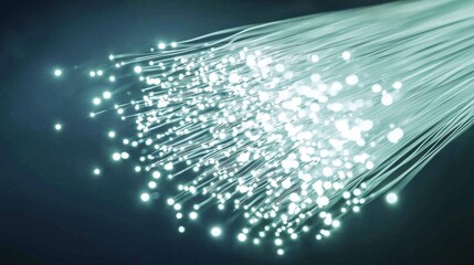 Obraz premium Dark gray backdrop highlights detailed network of white cables.