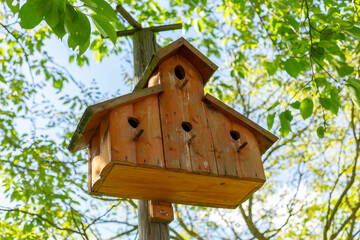 A handcrafted wooden birdhouse hangs on a tree branch, its rustic design blending with vibrant green leaves. The setting is bright and sunny, characteristic of springtime in a local park