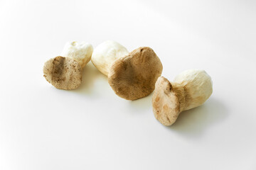 King oyster mushrooms, trumpet mushrooms, French horn mushrooms, Pleurotus eryngii laying on white...