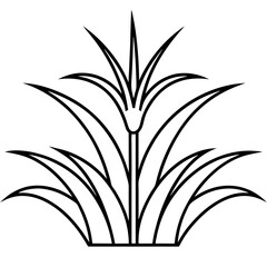 vector illustration of a plant