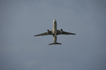 Airplane in Flight