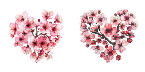 cherry blossoms heart shaped watercolor vector illustration