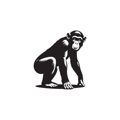 Fototapeta premium **