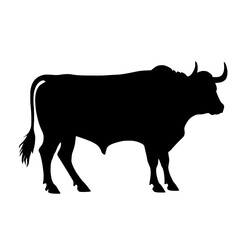 A stark black silhouette of a bull standing against white backdrop  isolated on transparent background, no background