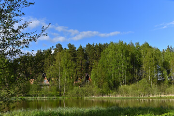 Beautiful lake in a forest park area.