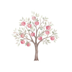 Obraz premium Apple Tree Isolated on Transparent Background – Watercolour Illustration