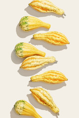 Yellow Pumpkin graphic pattern, decorative different pumpkins, squash top view minimal flat lay on beige. Autumn, fall, halloween holiday still life. Autumnal scene, sunlight shadow