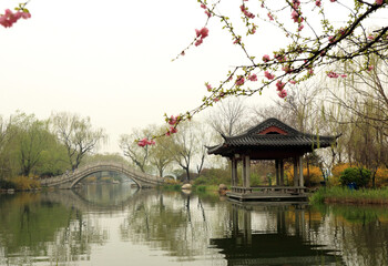 Fototapeta premium Springtime Cityscape Over Ming Lake With Blooming Waterfront Gardens