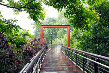 Fresh Urban Park Scene Bathed In Soft Morning Light After Spring Rain