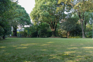 Luxury Villa Courtyard With Manicured Lawn And Garden Pathway In Spring