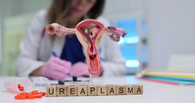 Medical professional writes prescription for Ureaplasma disease treatment. Female reproductive system anatomical model suggests women health