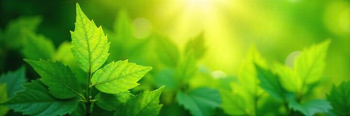 Close-up of lush green leaves gently swaying in a refreshing summer breeze, sunlight dappling through the foliage Feel the cool, clean air and the vibrant energy of nature , clean, crisp, air