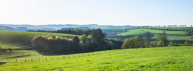 flowers and meadows in rolling hills of luxemburg countryside