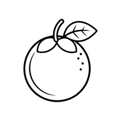 vector illustration of an apple fruit