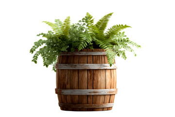 Decorative wooden barrel planter with lush green ferns