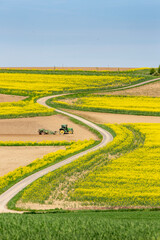 tractor at work on field between rapeseed fields in the north of luxemburg
